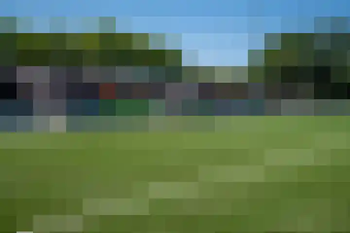 Dopheidestraat 45 Lisserbroek thumbnail 39