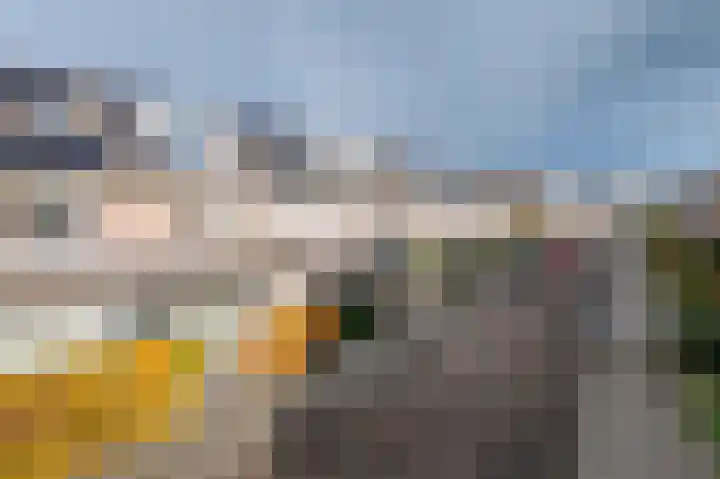 Dopheidestraat 45 Lisserbroek thumbnail 4