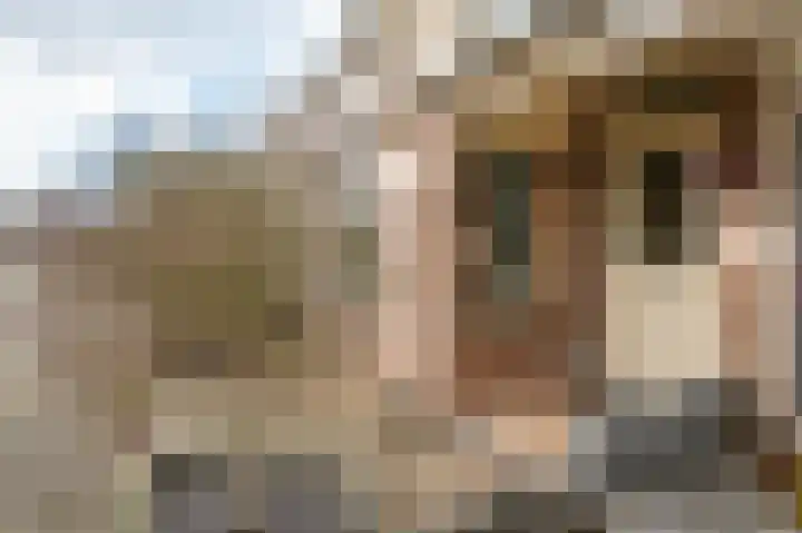 Dopheidestraat 45 Lisserbroek thumbnail 7