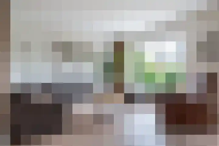 Dopheidestraat 48 Lisserbroek thumbnail 15