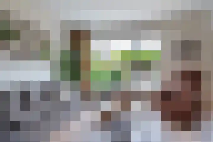 Dopheidestraat 48 Lisserbroek thumbnail 17