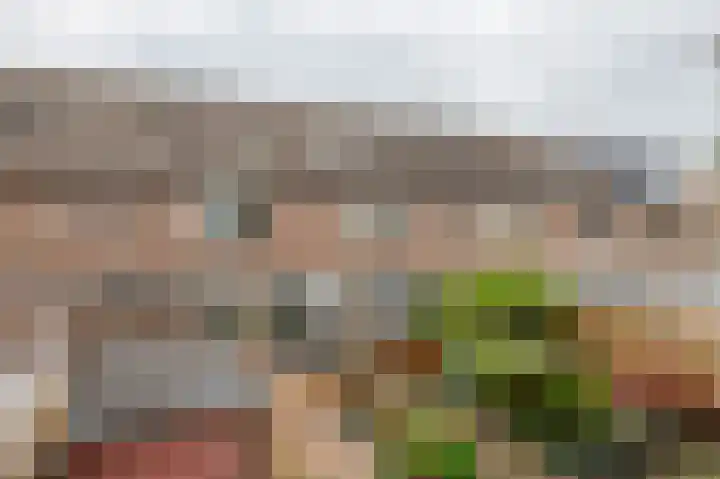 Dopheidestraat 48 Lisserbroek thumbnail 39