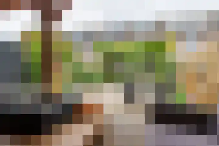 Dopheidestraat 48 Lisserbroek thumbnail 4