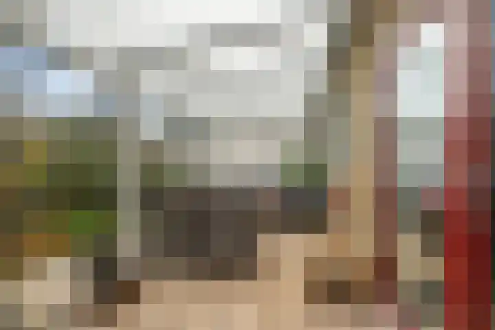 Dopheidestraat 80 Lisserbroek thumbnail 18