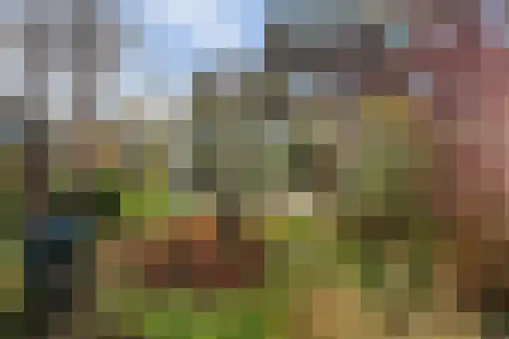 Dopheidestraat 80 Lisserbroek thumbnail 20