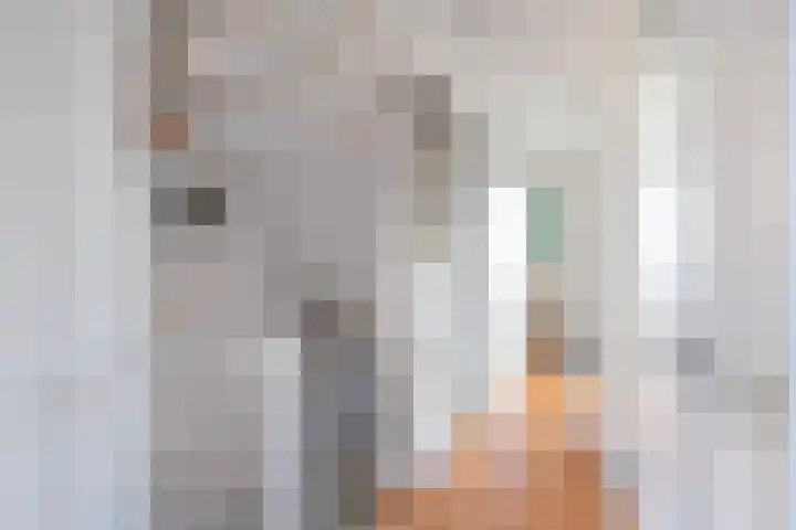 Dopheidestraat 80 Lisserbroek thumbnail 25