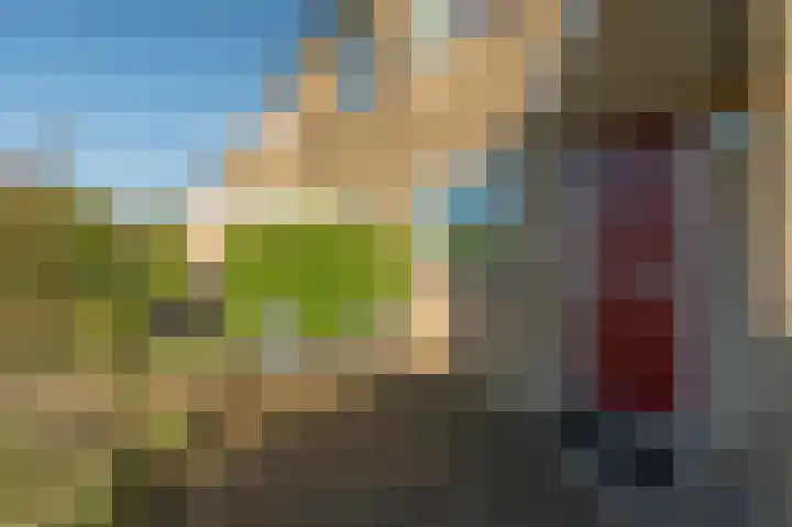 Dopheidestraat 80 Lisserbroek thumbnail 4