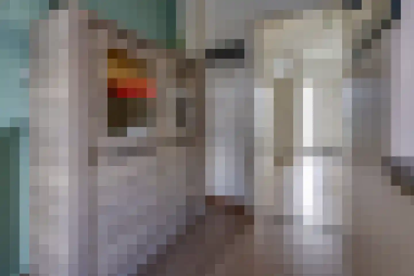 Dopheideweg 2 Stadskanaal thumbnail 11