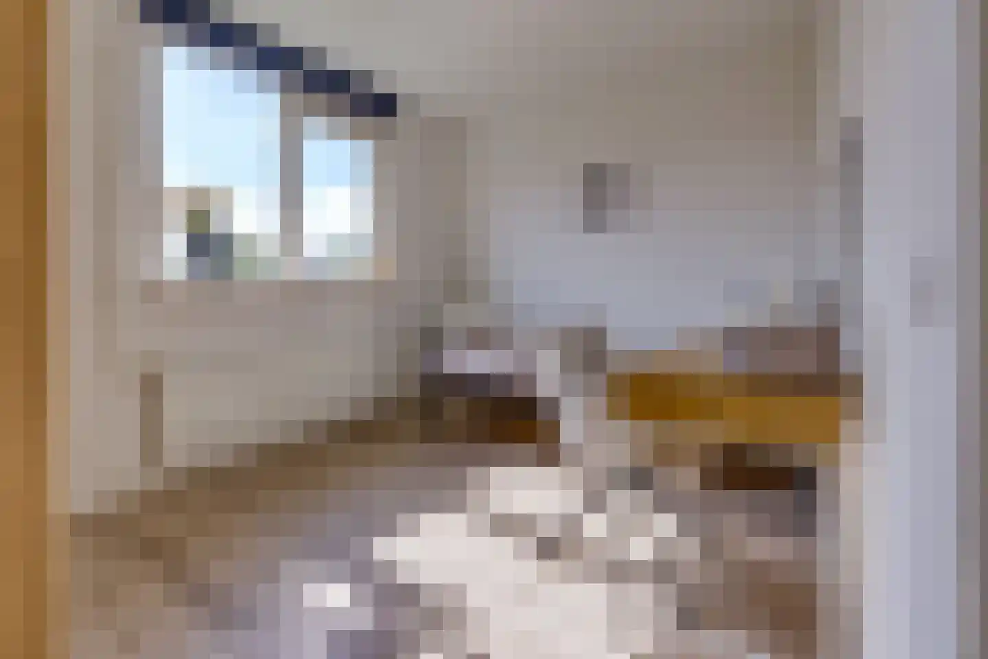 Dopheideweg 2 Stadskanaal thumbnail 16