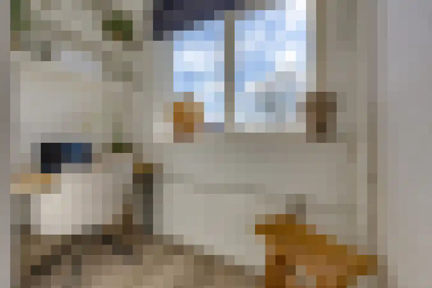 Dopheideweg 2 Stadskanaal thumbnail 19