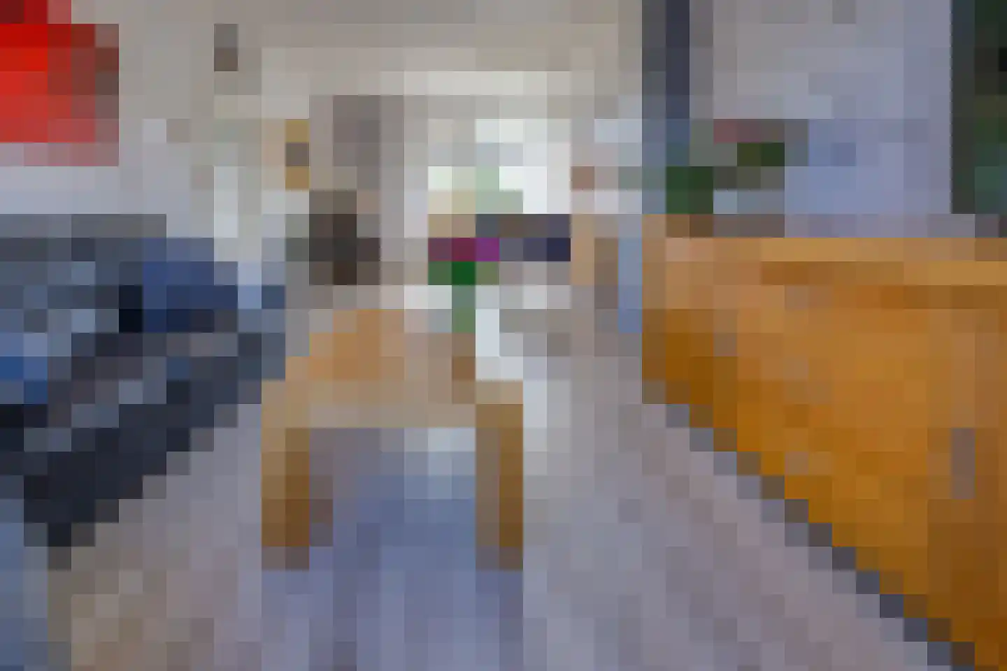 Dopheideweg 2 Stadskanaal thumbnail 5