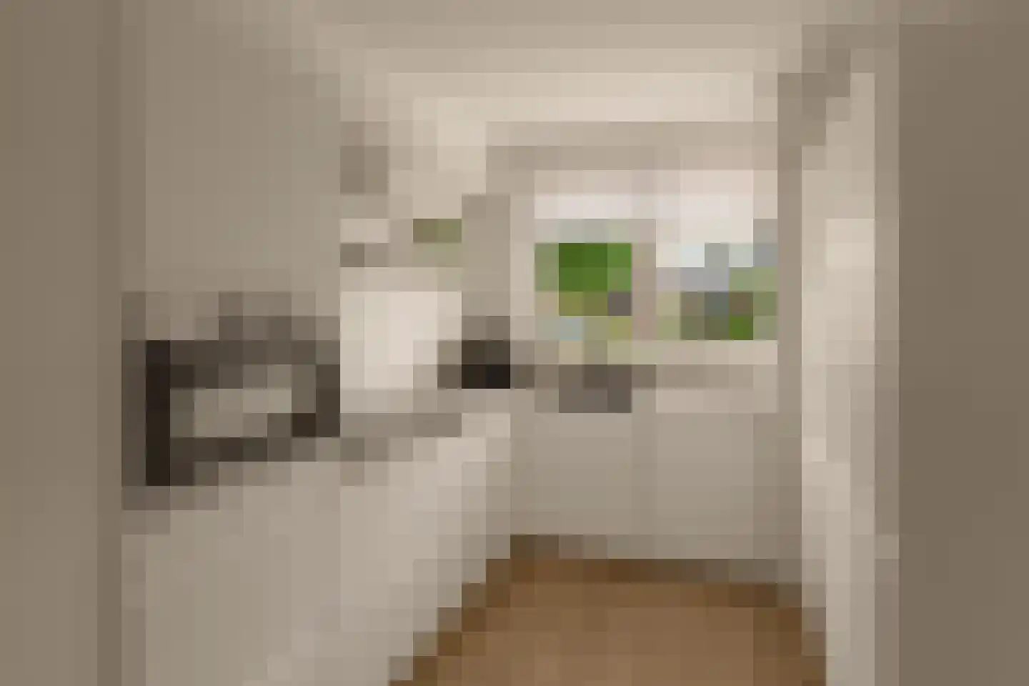 Dopheigang 15 Kortenhoef thumbnail 17