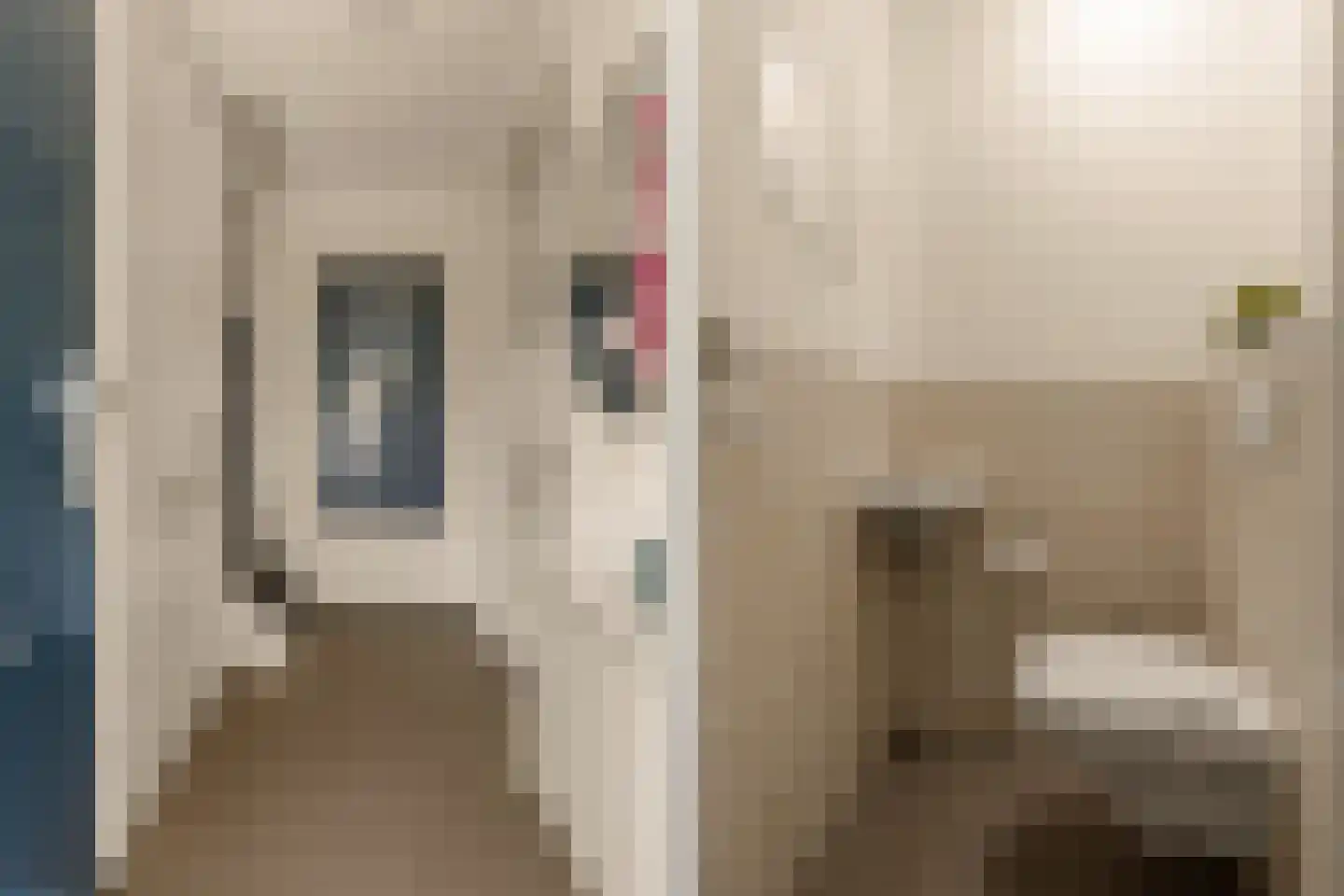 Dopheigang 15 Kortenhoef thumbnail 21
