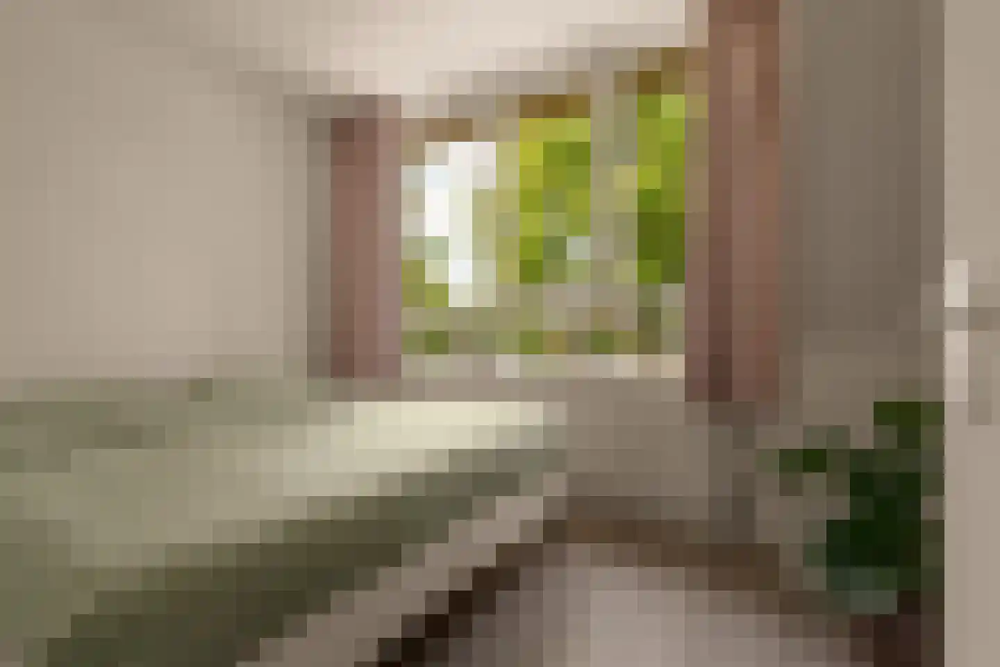 Dopheigang 15 Kortenhoef thumbnail 22