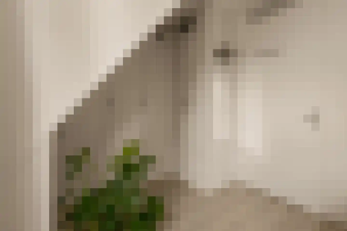 Dopheigang 15 Kortenhoef thumbnail 24