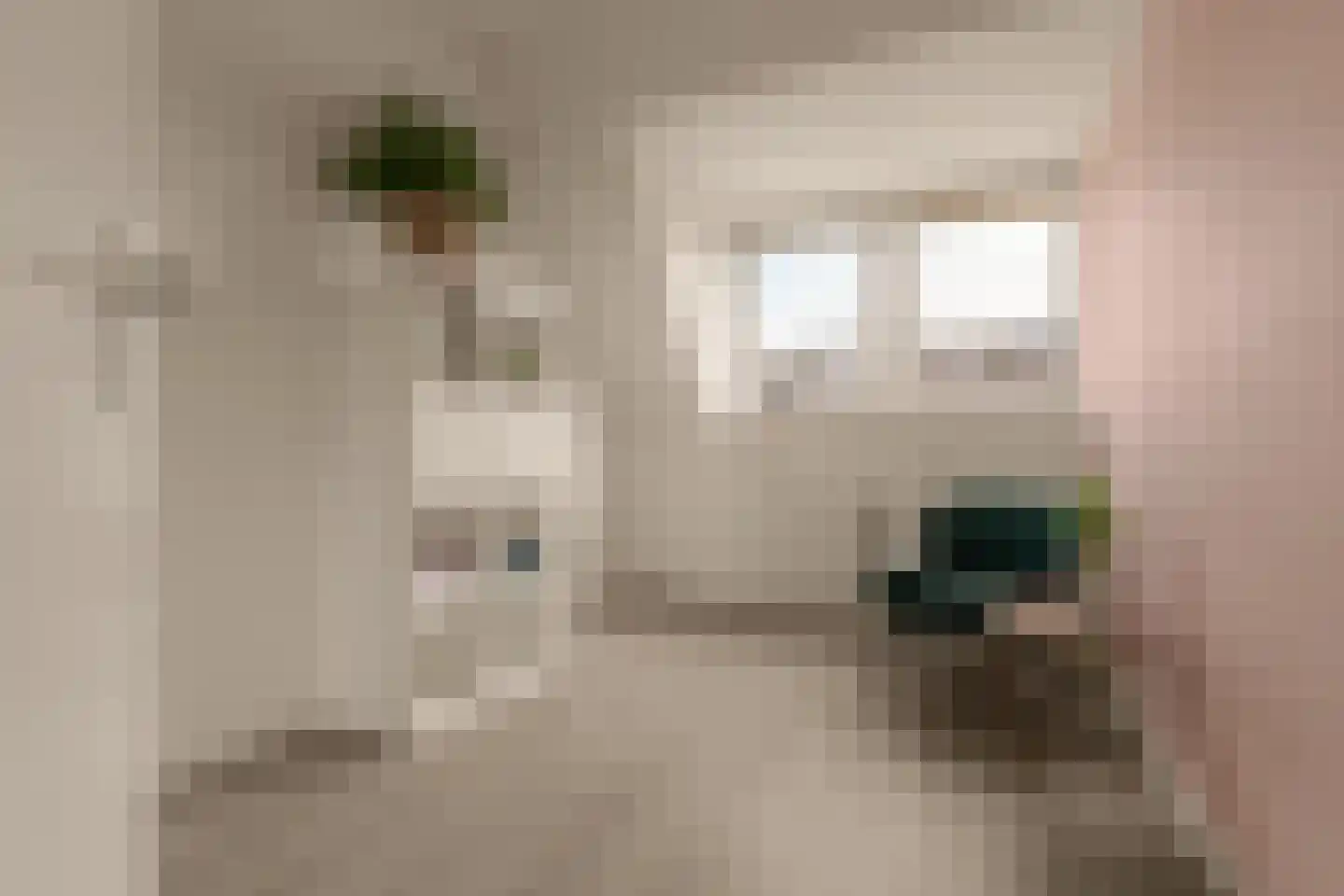 Dopheigang 15 Kortenhoef thumbnail 29