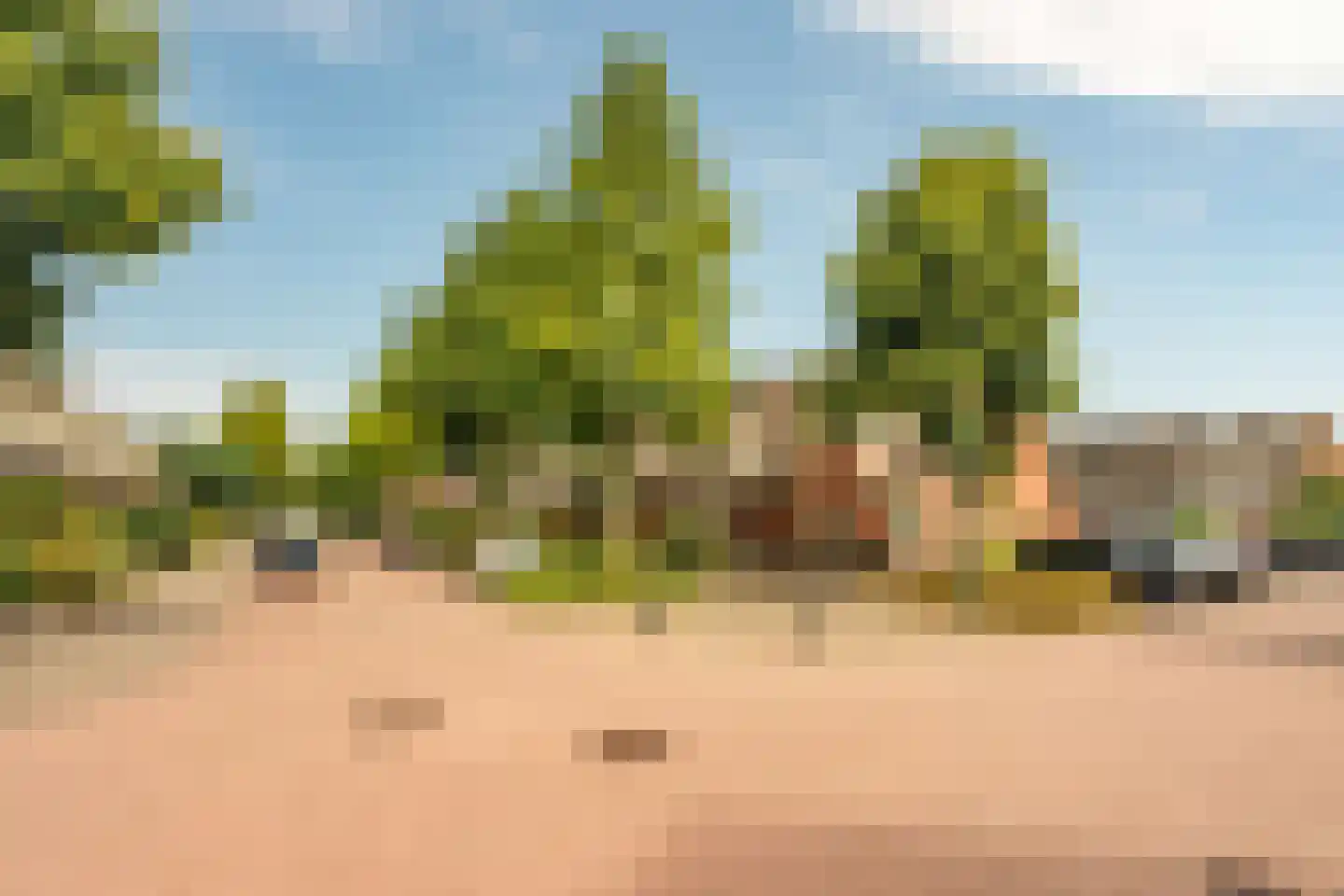 Dopheigang 15 Kortenhoef thumbnail 36