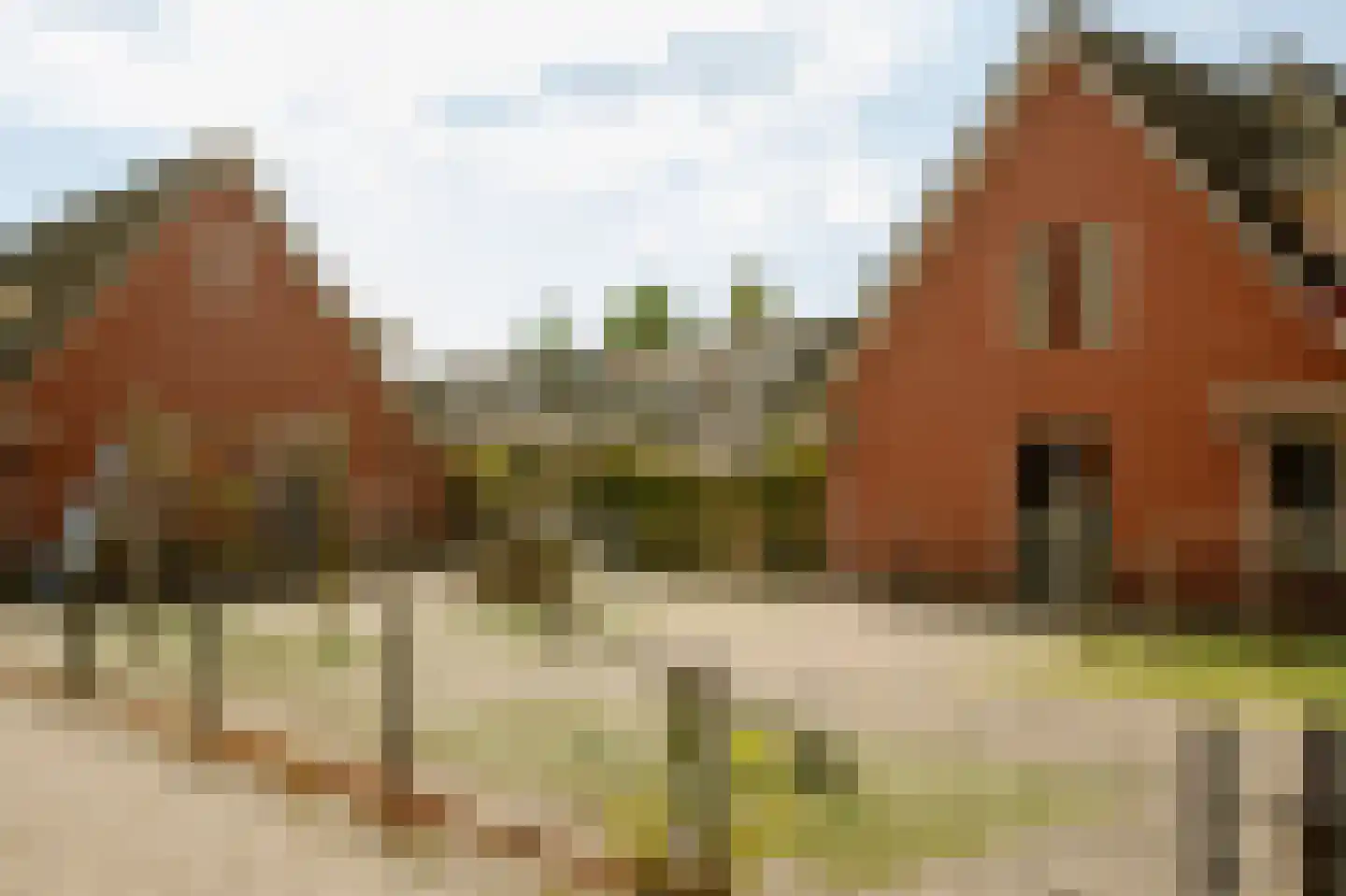 Dopheigang 15 Kortenhoef thumbnail 37