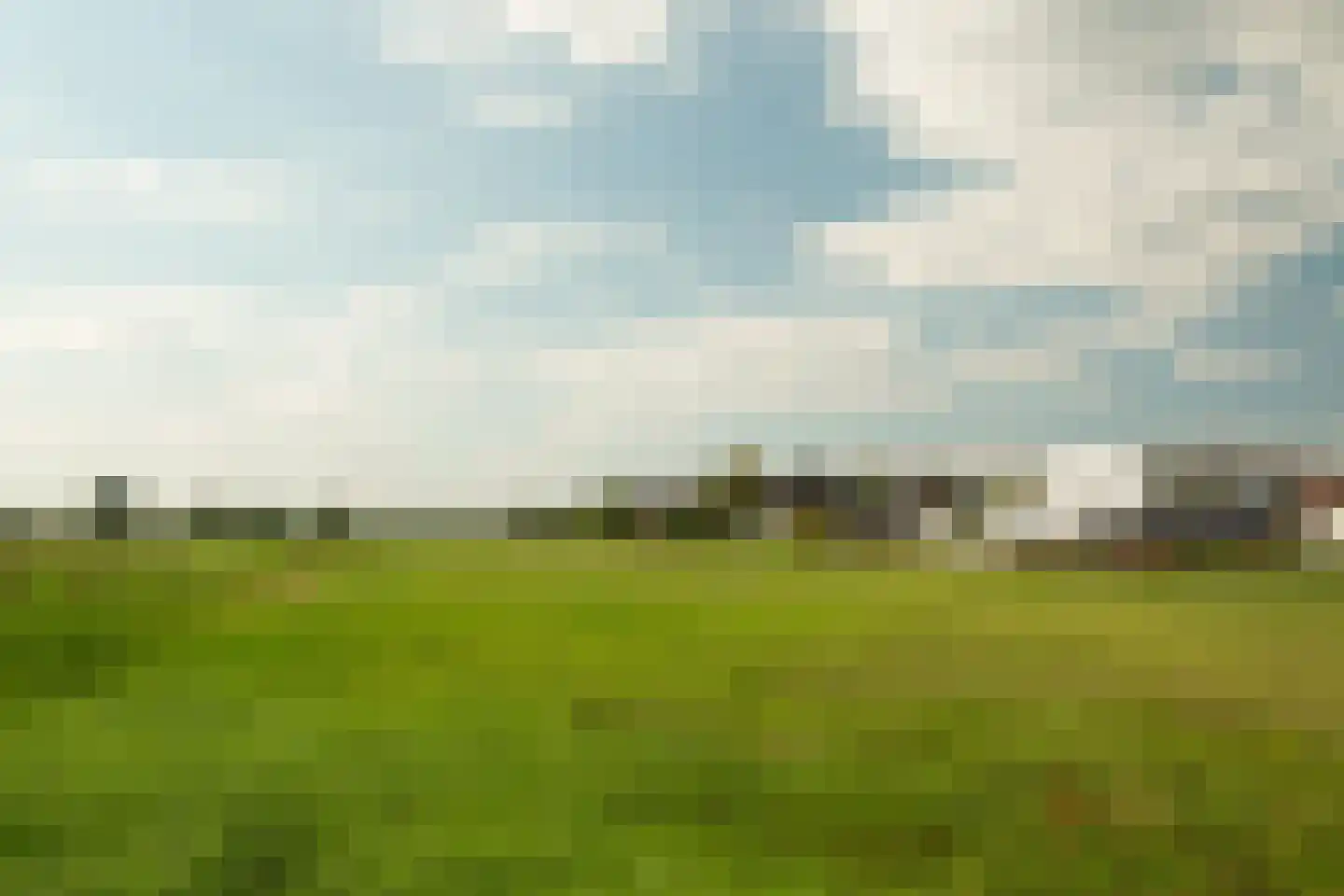 Dopheigang 15 Kortenhoef thumbnail 39