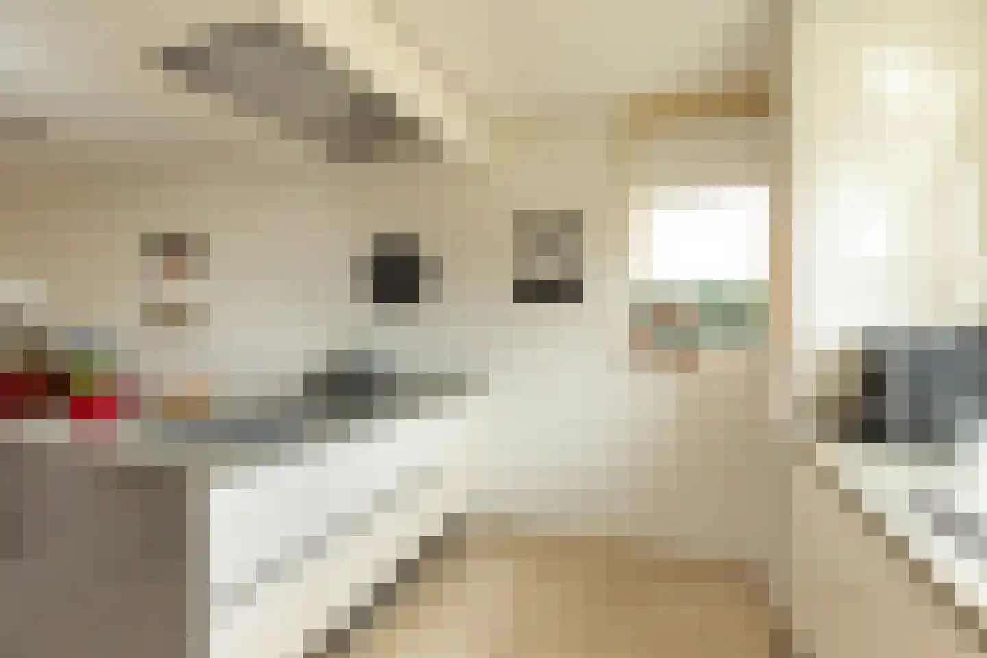 Dopheigang 8 Kortenhoef thumbnail 10