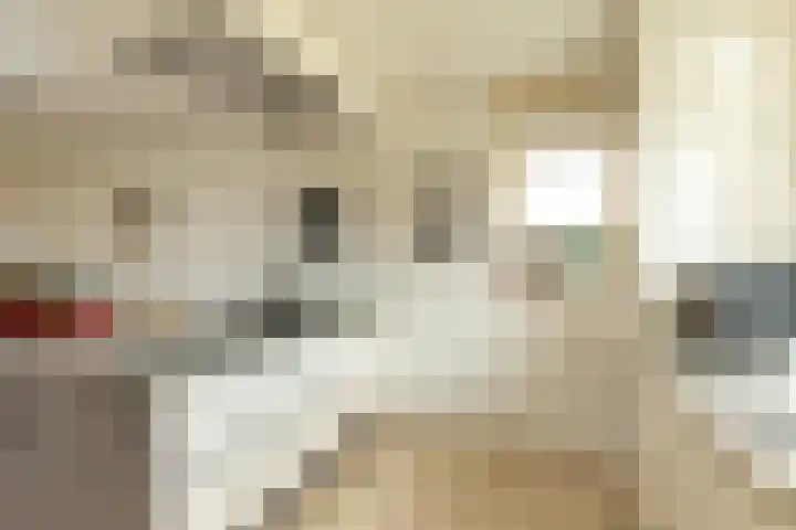 Dopheigang 8 Kortenhoef thumbnail 10