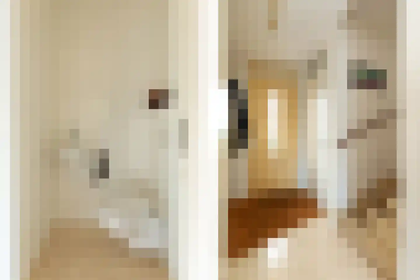 Dopheigang 8 Kortenhoef thumbnail 12