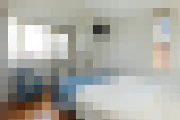 Dopheigang 8 Kortenhoef thumbnail 13