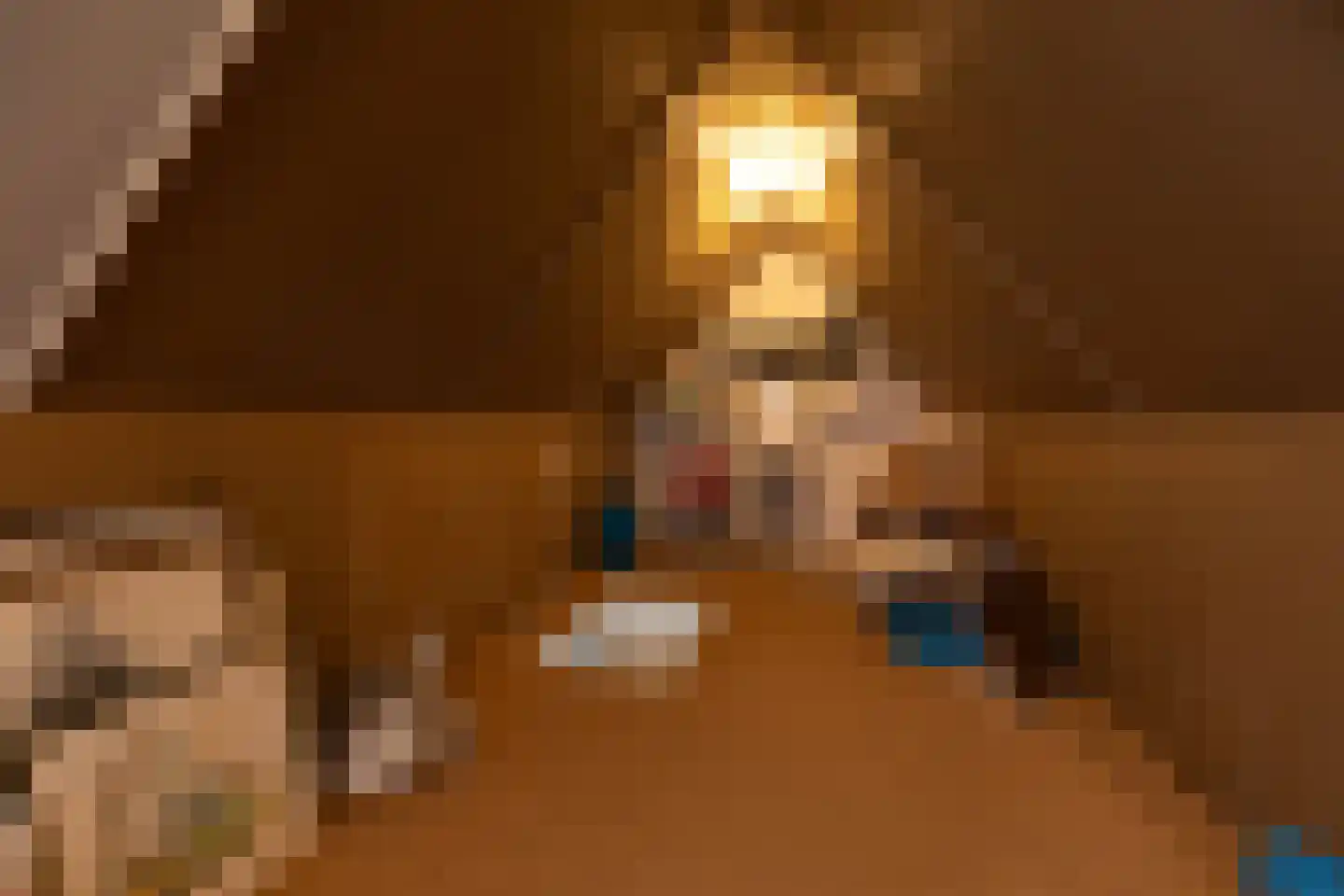 Dopheigang 8 Kortenhoef thumbnail 19