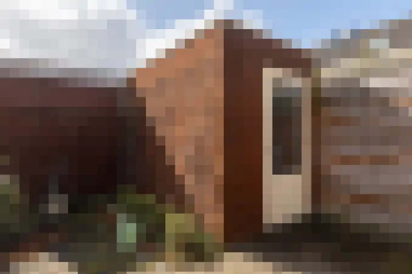 Dopheigang 8 Kortenhoef thumbnail 22