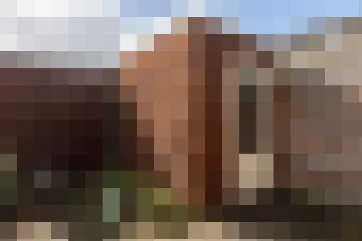 Dopheigang 8 Kortenhoef thumbnail 22