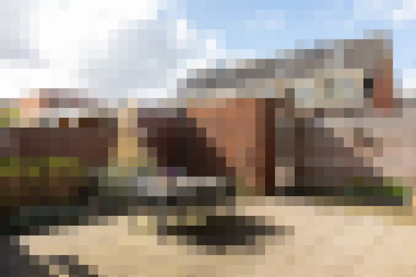 Dopheigang 8 Kortenhoef thumbnail 23
