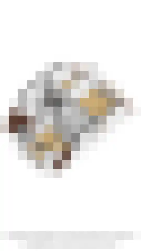 Dopheigang 8 Kortenhoef thumbnail 31