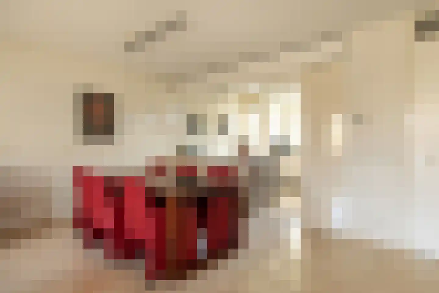 Dopheigang 8 Kortenhoef thumbnail 8