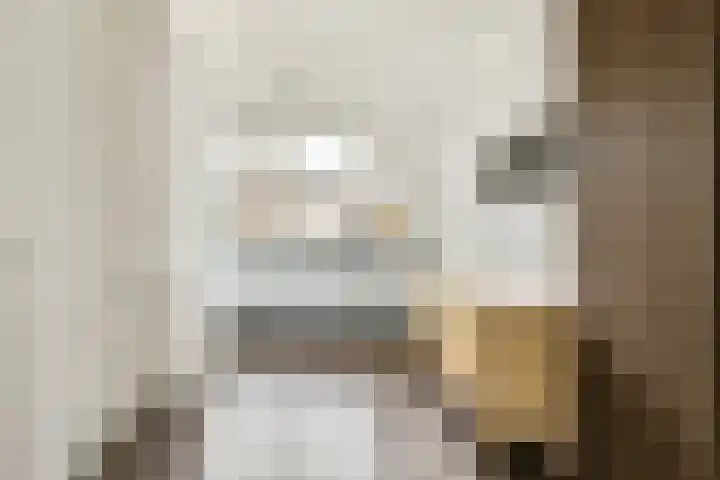 Doppenmolen 11 Koog aan de Zaan thumbnail 11