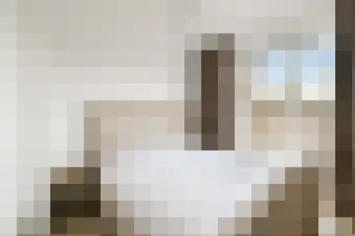 Doppenmolen 11 Koog aan de Zaan thumbnail 18