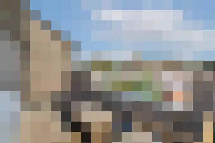 Doppenmolen 11 Koog aan de Zaan thumbnail 21