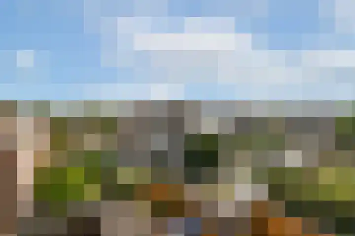 Doppenmolen 11 Koog aan de Zaan thumbnail 22