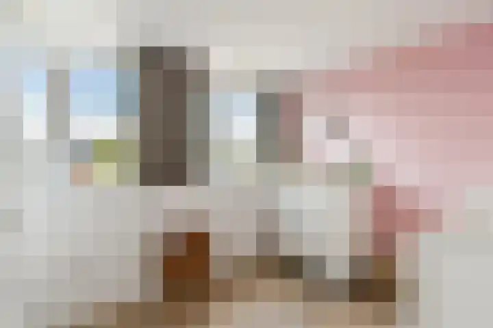 Doppenmolen 11 Koog aan de Zaan thumbnail 25