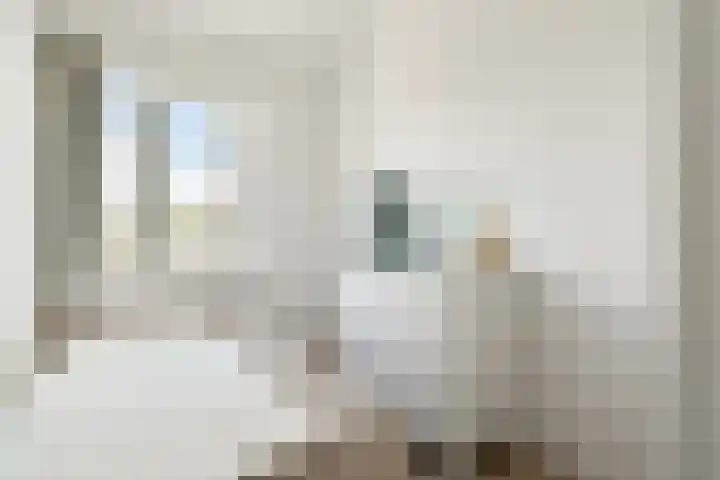 Doppenmolen 11 Koog aan de Zaan thumbnail 27
