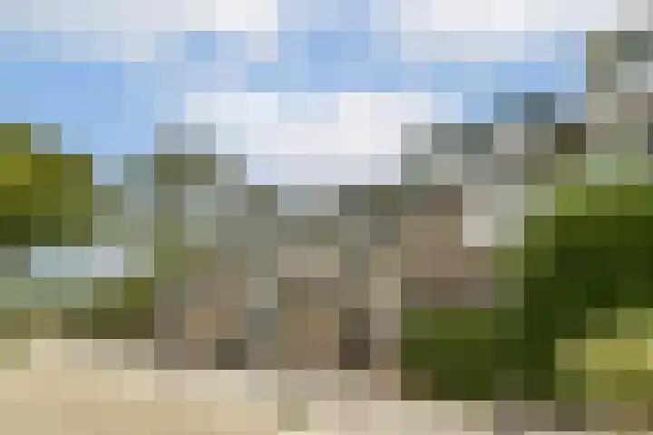 Doppenmolen 11 Koog aan de Zaan thumbnail 4