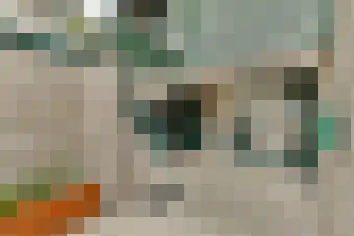 Doppenmolen 11 Koog aan de Zaan thumbnail 5