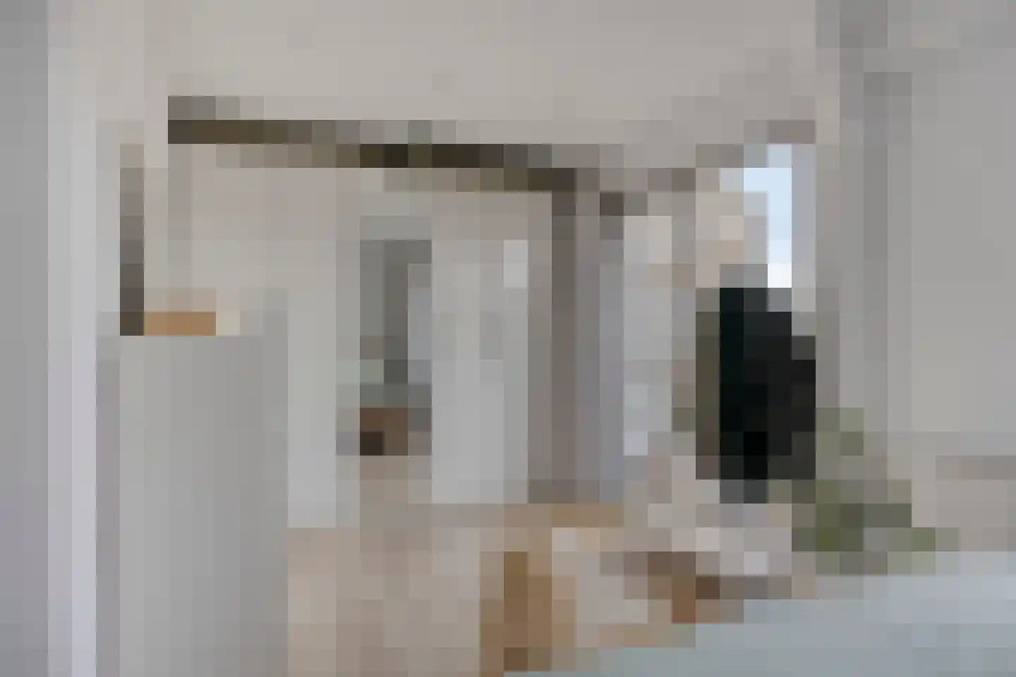 Doppenmolen 23 Koog aan de Zaan thumbnail 15