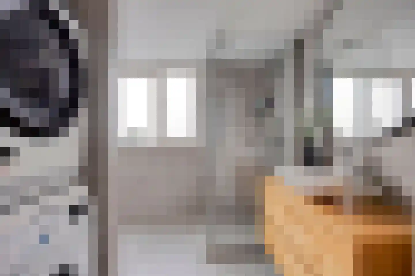 Doppenmolen 23 Koog aan de Zaan thumbnail 18