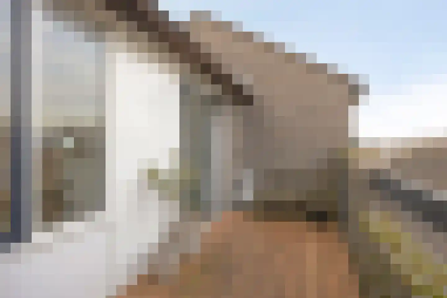 Doppenmolen 23 Koog aan de Zaan thumbnail 24