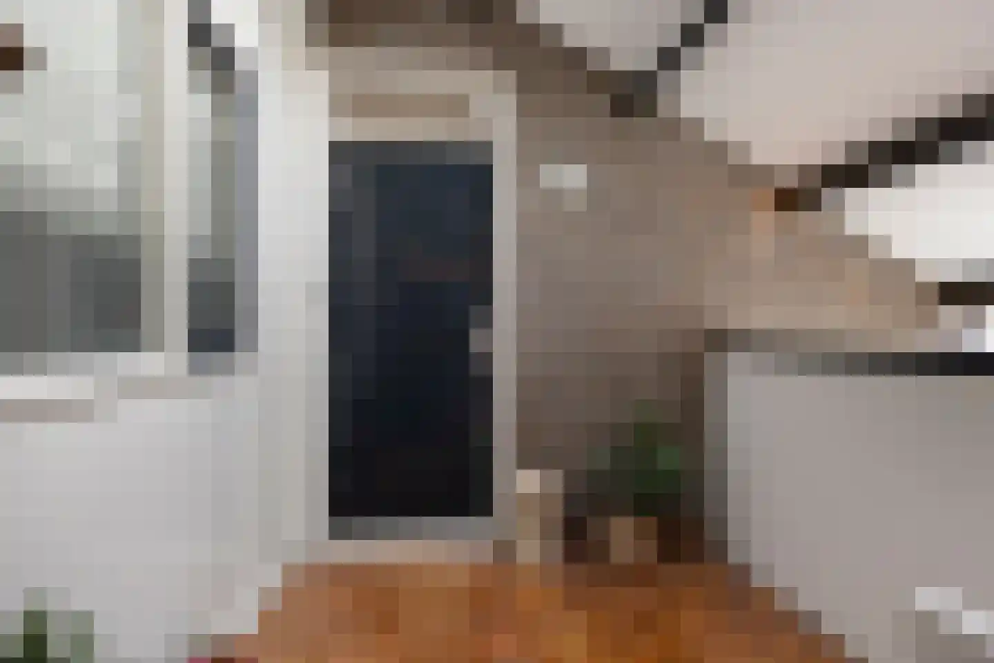 Doppenmolen 23 Koog aan de Zaan thumbnail 27