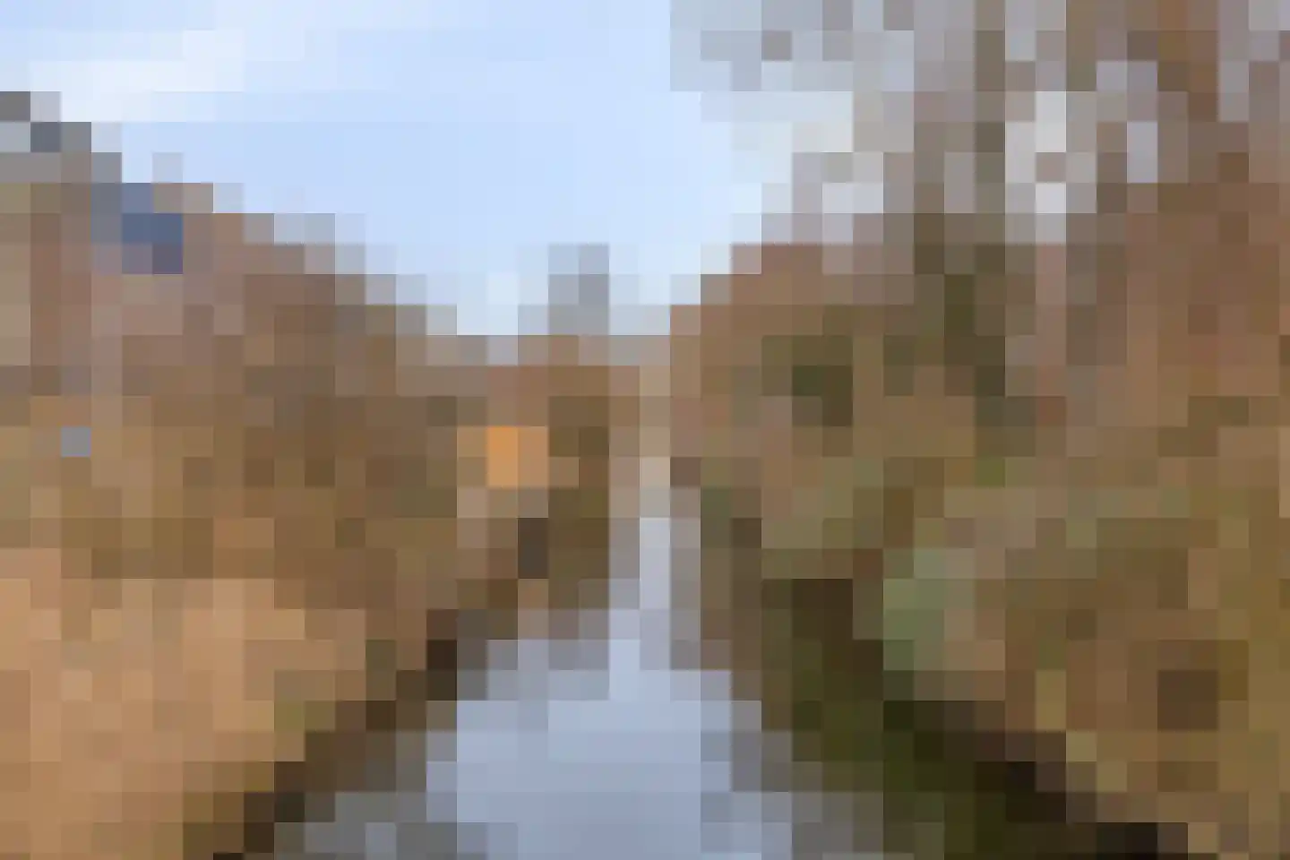 Doppenmolen 23 Koog aan de Zaan thumbnail 30