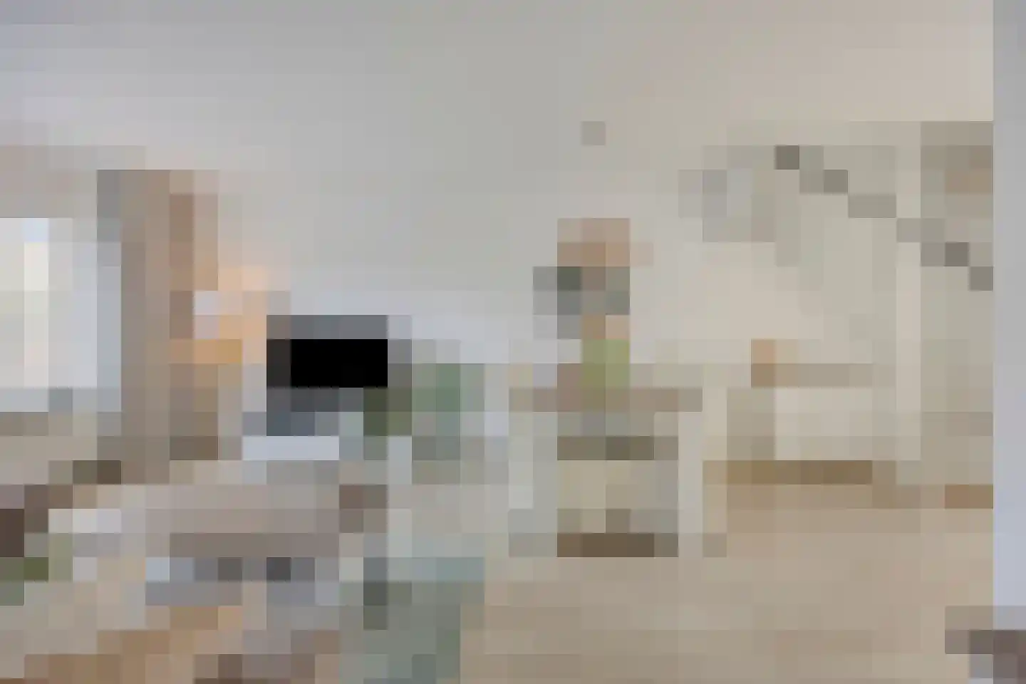 Doppenmolen 23 Koog aan de Zaan thumbnail 4