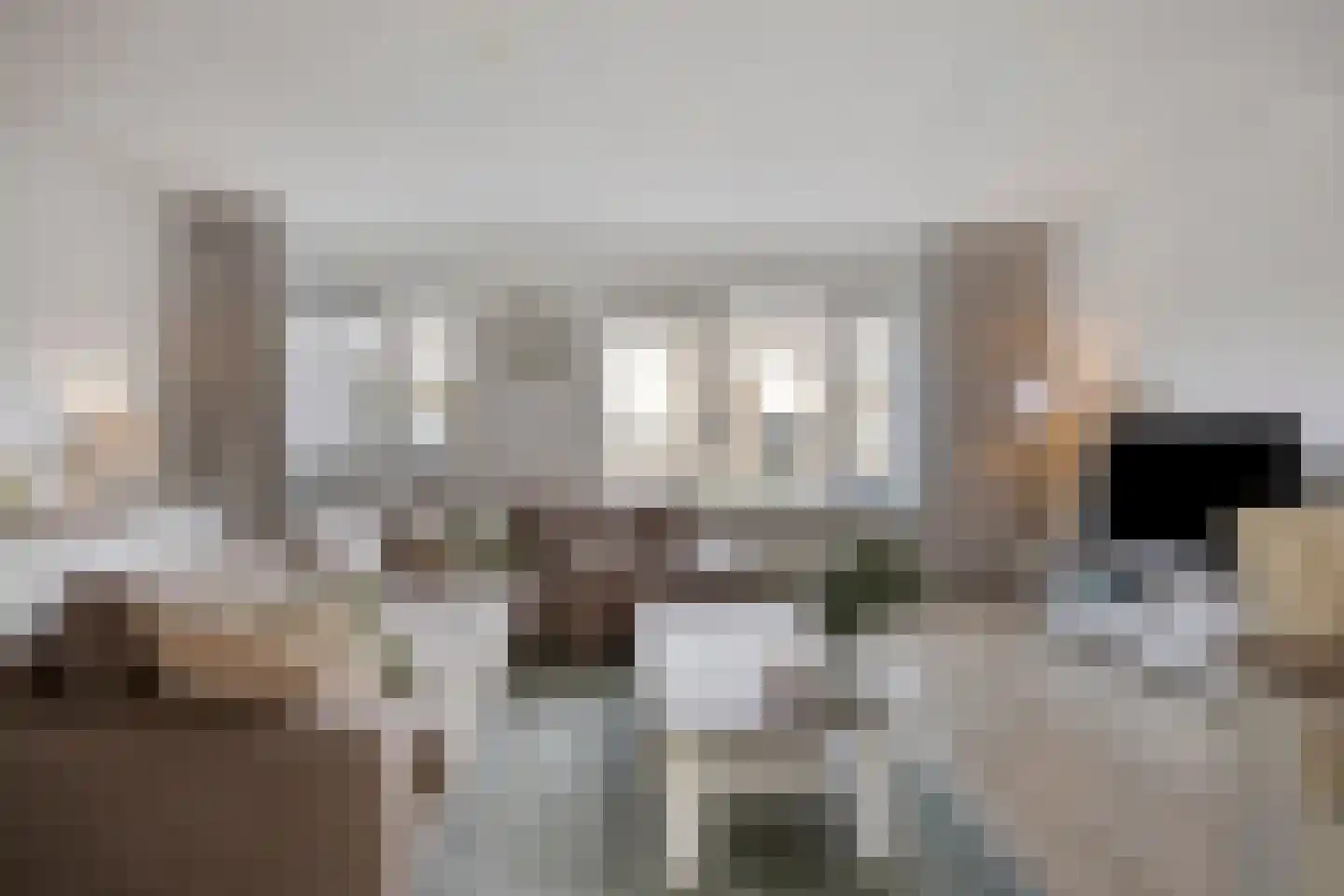 Doppenmolen 23 Koog aan de Zaan thumbnail 6