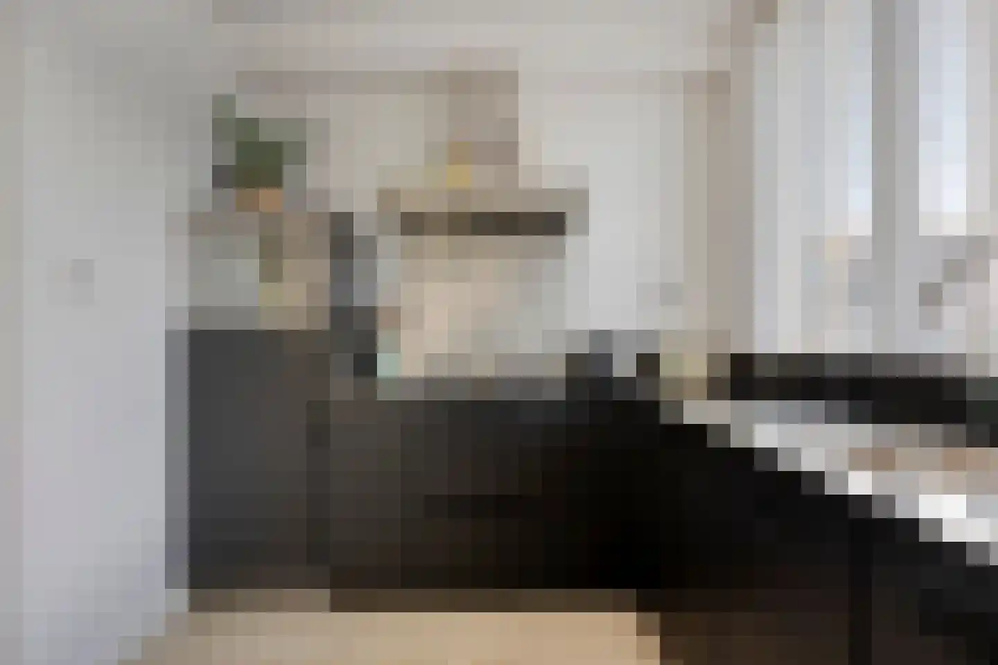 Doppenmolen 23 Koog aan de Zaan thumbnail 9