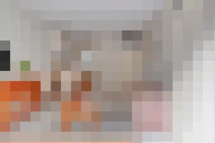 Doppenmolen 5 Koog aan de Zaan thumbnail 12